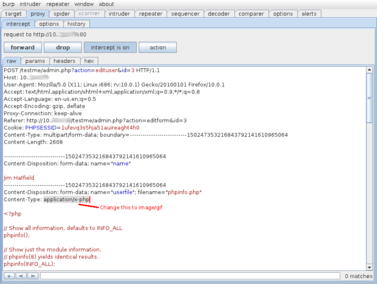 Screenshot from Burp showing text to modify